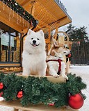 Фото: nastyamarkova_