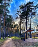 Фото: Кирянова Юлия
