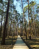 На основании постановлений было принято решение о закрытии детских и спортивных площадок