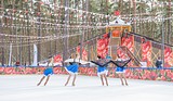 Ледовое шоу