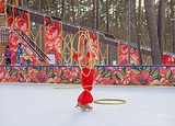 Ледовое шоу