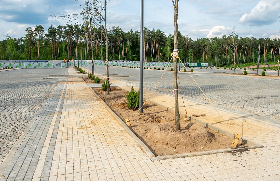 Большая стоянка у центрального входа