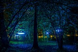 «Встреча» Аллы Урбан