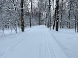 Лыжные трассы в парке Малевича открыты