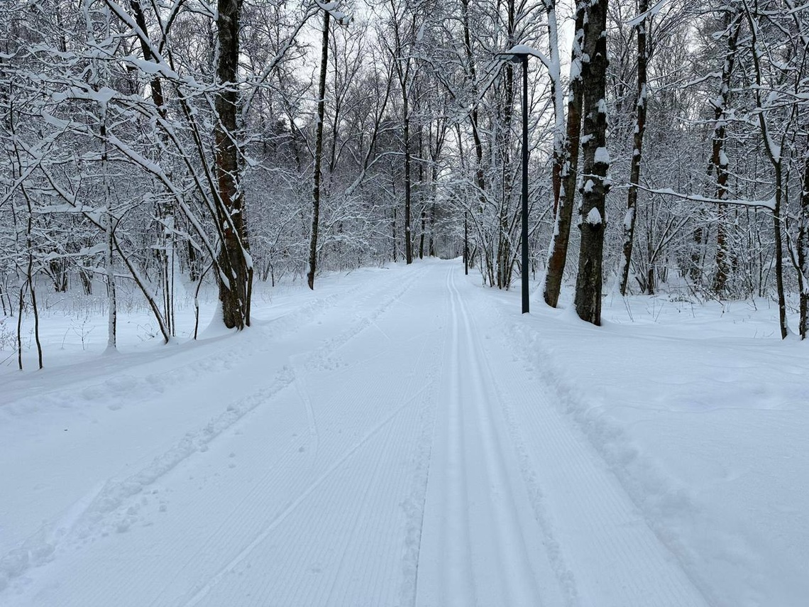 Лыжные трассы в парке Малевича открыты, Афиши