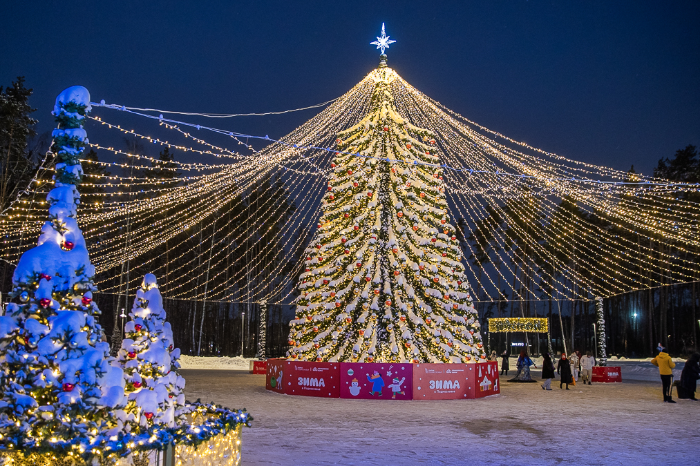 Новогодняя площадь в парке Малевича, Сезонная инфраструктура: ЗИМА