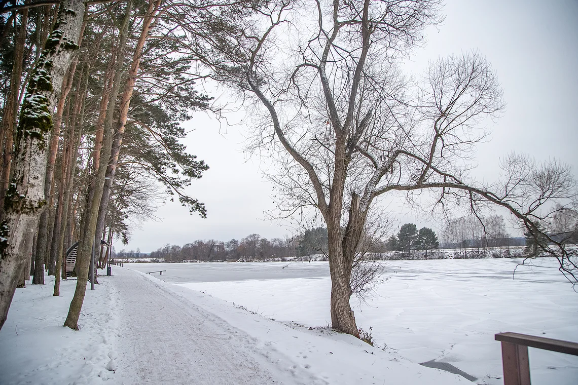 Отражение (99)